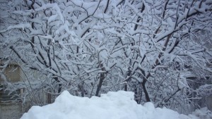100 км час е вятърът в планината