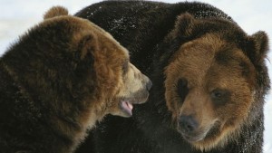 За първи път в живота си Монти от Парка за