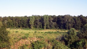 Забраниха лова на птици в 4 варненски общини