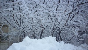 Учениците в област Силистра остават във ваканция до края на