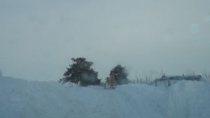 Кои пътища в община Шумен са проходими