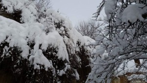 Отвориха за движение Прохода на Републиката