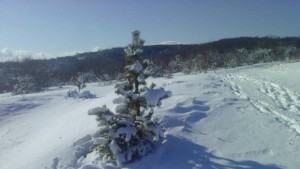 Облачността ще се разкъсва и намалява очаква ни поредното мразовито