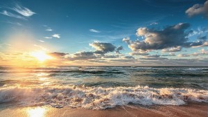 Кръстиха мекотело хамелеон на Дейвид Боуи СНИМКА