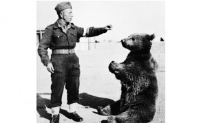 Един необичаен герой от войната - мечокът Войтек