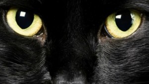 Страхът от петък 13 и защо никога не бива да