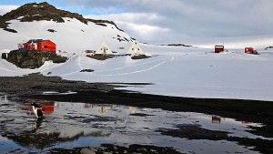 Нова машина прави полесен достъпа до българския бряг на Антарктида