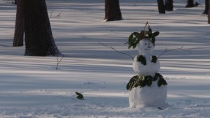 Жълт код за Варна заради сняг вятър и виелици