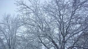 Времето се влошава предупреждават за нов сняг и поледици