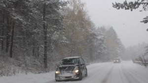 Почистват 43 направления от републиканските пътища в Добричка област