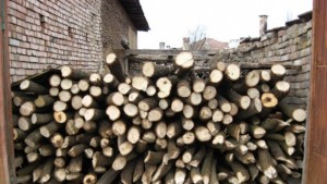 Откриха незаконно добита дървесина