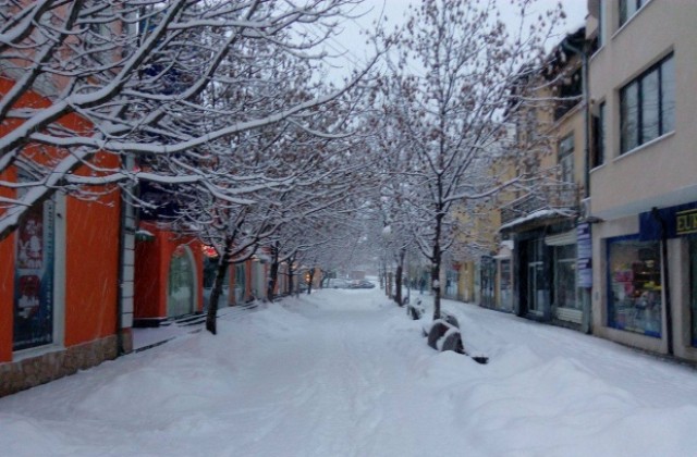Нов сняг в цяла Кюстендилска област