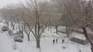 Десет машини чистят в града пътищата са проходими при зимни