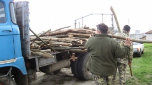 Над 18 000 проверки са извършили служители на Регионална дирекция
