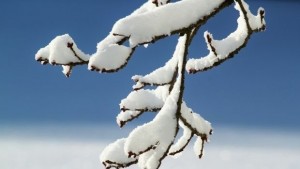 Жълт код за ниски температури в събота