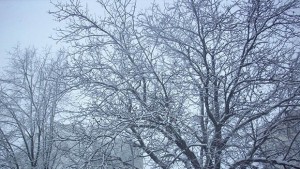 Слънчева но много студена събота