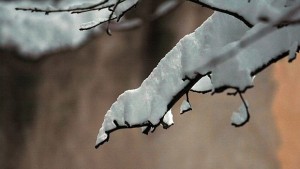 Жълт код за ниски температури в повечето области у нас