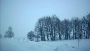 Къде има ограничения по пътищата в Добричко и Силистренско