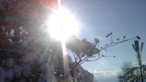 Седмицата започва с положителни температури