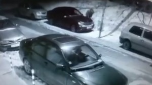 Гамен тормози живущите в Цветния квартал