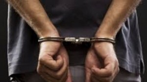 Задържане под стража за мъж откраднал снегорин