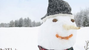 Зимно вдъхновение обзе столичани причудливи фигури от сняг надничат от