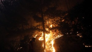 Опустошителни горски пожари в Чили