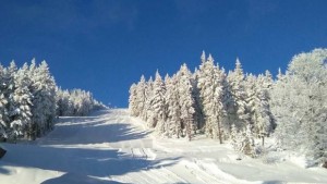 Организират Олимпийски фестивал за младите надежди в ските и сноуборда