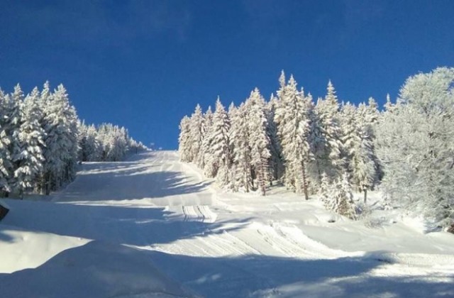 Организират Олимпийски фестивал за младите надежди в ските и сноуборда в Осогово