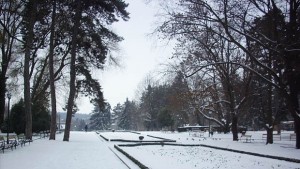 Разбиха къща по ул Волга