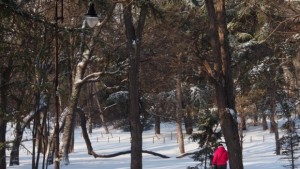 Времето на 25 януари Облачно на места ще правали сняг