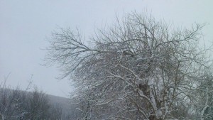 Времето на 25 януари