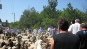 Фермери в стачна готовност заради промени в Наредба 3 за