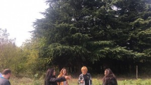 Националният омбудсман настоява Бедечка да влезе в Парламента