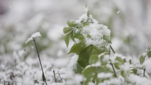 Жълт код заради ниски температури