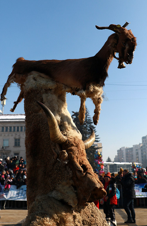 Фестивала Сурва в Перник