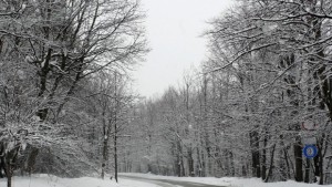 Времето на 28 януари Студено и мъгливо