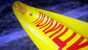 Дърво падна върху автомобил в движение