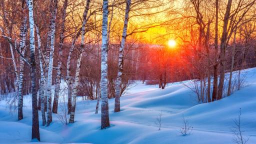 Годината ще започне със студ и сняг: От -18 до 18 градуса ни очакват през януари