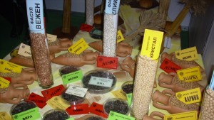 ДЗИ Генерал Тошево семена сортове