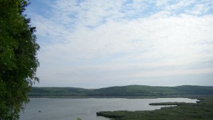 влажни зони