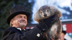 Мармотът Фил