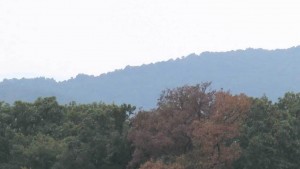 гора горски дървесина