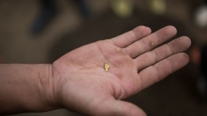 златодобив