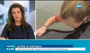 ЖЕРТВИ НА ПРИРОДАТА: Стотици китове заседнаха на плаж в Нова Зеландия