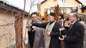 Трифон Зарезан село Добрич
