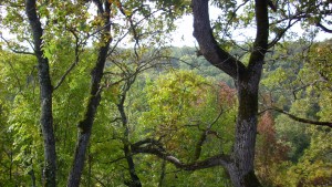 Екопарк Община Добрич