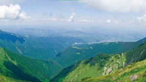 Конференция