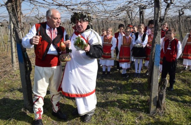 Избраха Цар на виното в Петрич