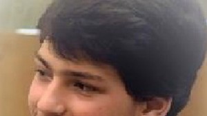 Александър Петров Добрич стихосбирка